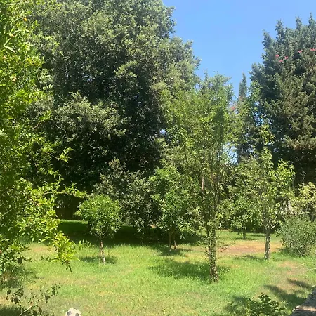 Dimora Madreperla * Gallipoli