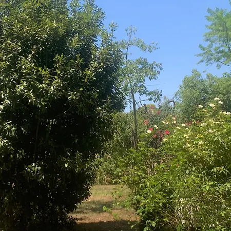 Prázdninový dům Dimora Madreperla Gallipoli