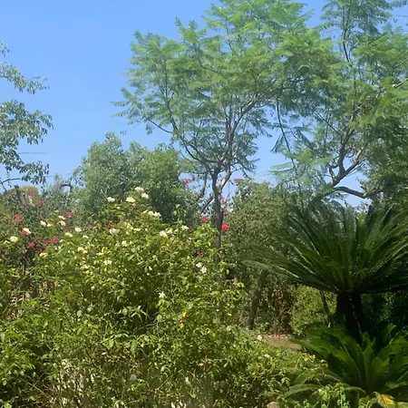 Dimora Madreperla * Gallipoli