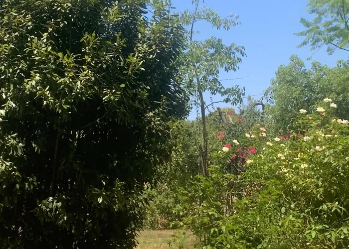 Tatil Evi Dimora Madreperla Gallipoli